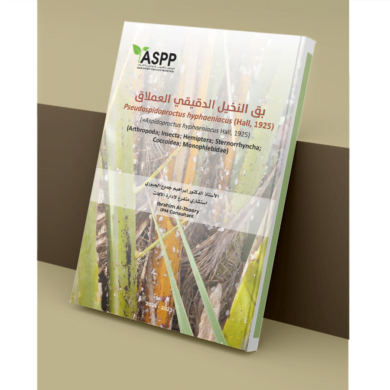 Pseudaspidoproctus hyphaeniacus (Hall, 1925)